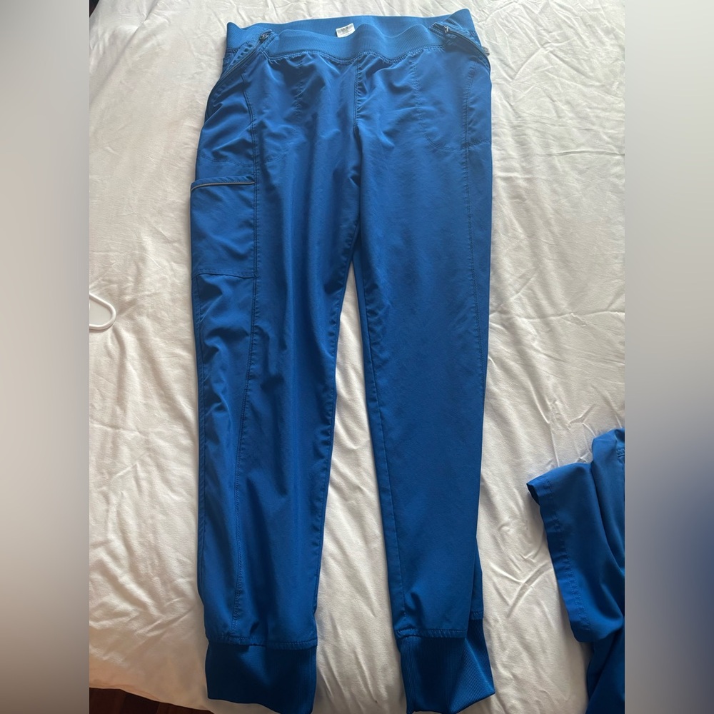 Dickies Blue Jogger Pants